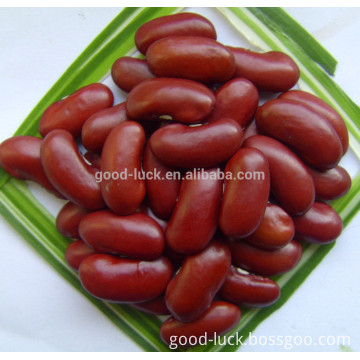 New Crop Red Kidney Beans Price